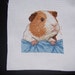 PEEPING GUINEA PIG cross stitch picture FREE Shipping