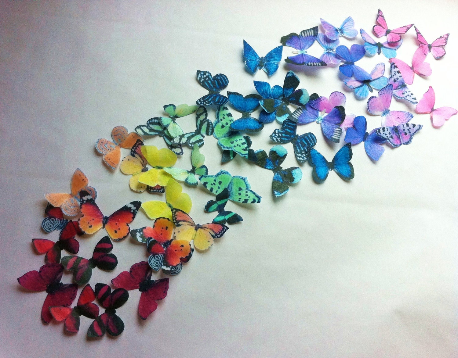 The Original EDIBLE BUTTERFLIES Rainbow Collection set of