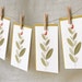 Note Card Set - Bird in a Redberry Bush