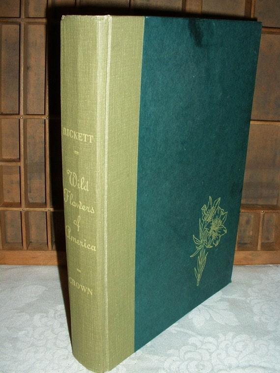 Wildflowers of America Book 400 Full Page Color by MostlyMadelines