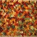 Autumn Colorburst Shag Rug
