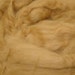 Baby Camel Top - spinning - 2 ounces (oz)