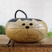 Cat Gourd Natural Centerpiece Kitty Decoration with Removable Top