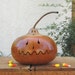 Halloween Gourd Ghost Top Spooky Natural Fall Decoration Candy Bowl (with removable lid)