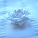 Lace embellishment hand crochet in white cotton thread 10 inch long
