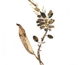 Dried branch, pods, and a leaf, art print of original watercolor, still life  painting, wall decor, natural history, minimalist
