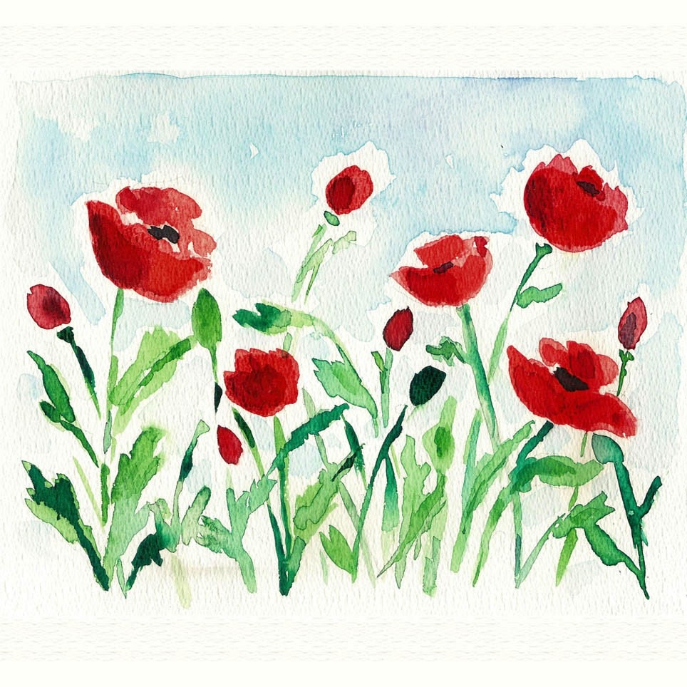 Red Poppies Field original watercolor painting