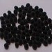 Clove tree seeds 10 syzygium aromaticum grown in by hilobeads