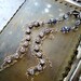 Rhinestone Iolite Earrings - Vintage Crystal Chain Tassel 20% Off Season Sale