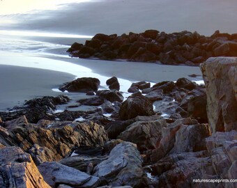 Summer Tidal Pool, Rye NH 8"x10" photo