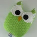 Owl Plush Toy Small Pillow Softie Minky Green White Blue