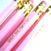 6 PENCILS - light pink shut the fxck up - funny GRAPHITE HEX pencils w/ hand-stamped kraft pencil box