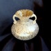 Hand Blown Spatter Glass, Art Glass Handled Vase
