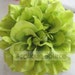 Large Silk Dahlia Flower Head - SINGLE FLOWER - Spring Green