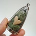 Where Life Begins Mom Mini Curio Display Heart Locket Necklace Natural World