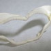 Shark Jaw - Mini Jaw for your Crafting