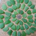 Genuine Beach Sea Glass Surf Tumbled Emerald Green Kelly rare Seaglass Huge 50 pcs A01
