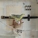 Assemblage of Nature - Joseph Cornell Tribute -Exploring Nature - Bird - Egg- Turtle Shell - Metal findings