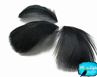 Black feathers, 1 Pack - BLACK Goose Coquille Loose Feathers - 0.35 oz. : 171