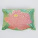Soap Dish Pink and Mint Poppy trinket or sponge Holder
