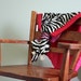 zebra security blanket