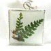 Green Fern Pressed Flower Pendant