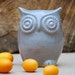 Owl home decor - blue spotted gray
