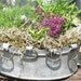 Galvanized Metal Planter - French Country Centerpiece - French Decor