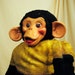 mr bim monkey