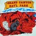 Vintage 1970s Grand Canyon National Park Kid's Tee Shirt