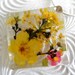 Sunkissed Garden-Pressed Flower Square Resin Necklace-Pendant with Buttercups, Bridal Veil, Basket of Gold Alyssum-Nature's Wearable Art