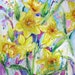 original watercolor painting daffodils abstract contemporary garden landscape flowers spring impressionism 11 x 15 fine art