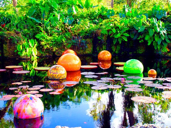 Reflections at Fairchild Tropical Gardens