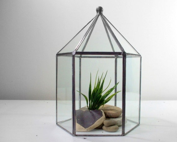 Vintage Glass Terrarium 5