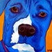 SALE Blue Boxer 8 x 10 Digital Reproduction