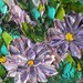Oil Painting Impasto Garden Violet Wildflowers Original Palette Knife Floral Painting Wall Decor