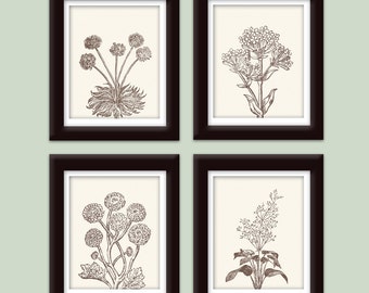 Wild Flowers Botanical Prints (Series C ) Set of 4 - Art Prints (Featured in Cream and Chocolate Brown)