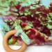 Waldorf Teething Blanket - Organic Bamboo Velour - Dragon's Breath