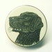 Button Dog Vintage Scrimshaw Black Lab on Polymer Plastic by Barclay ANIMAL CHARITY DONATION