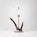 vintage modern driftwood lamp