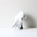 vintage animal skull / rustic decor / found object