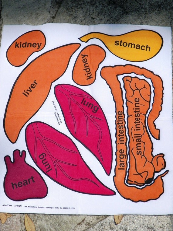 plush human organs