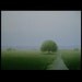 Misty Stream Tree Original Tonalism Landscape Art Painting