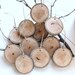 Natural and Eco-Friendly XL Blank Tree-Branch Tags with Twine (Set of 11)