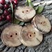4 Multi-Colored Tree Branch Buttons - 1 3/4 inches x 1 5/8 inches, 2 holes, Great for Journals, Pillows, Handbags, Favor and Gift Boxes, Knitting and Sewing
