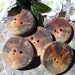 5 Pretty Pine Wood Tree Branch Buttons - 1 7/8 x 1 3/4 inches, 2 holes, Perfect for Journals, Decorative Pillows, Fiber Art Projects