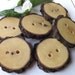 Wood Buttons - 6 Rustic Persimmon Wood Tree Branch Buttons with Bark - 2 holes, 1 3/4 x 1 5/8 inches - For journals, purses, pillows, & more