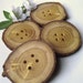 Wood Buttons - 4 Wooden Mulberry Tree Branch Buttons with Bark - 2 1/4 x 2 1/8 inches, 4 holes, For Journals, Pillows, Totebags, Knitting