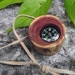 Wood Compass - Handmade from a Rustic Cedar Wood Tree Branch - Pocket Survival for Hiking, Camping, Outdoor, Gift for Nature Lover, Ornament