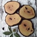 Large Wood Buttons - 4 Dogwood Wooden Tree Branch Buttons with Bark - 2 3/4 x 2 3/8 inches, 2 holes, For Journals, Pillows, Totebags